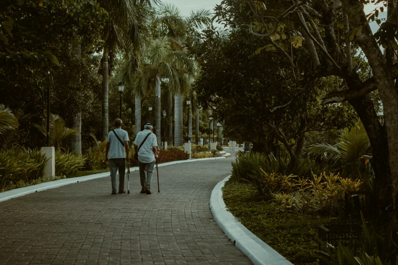 a man and a woman walk on a pathway through palm trees