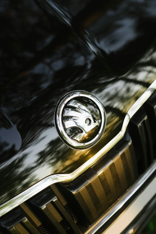 an old - fashioned logo on the front bumper of a car