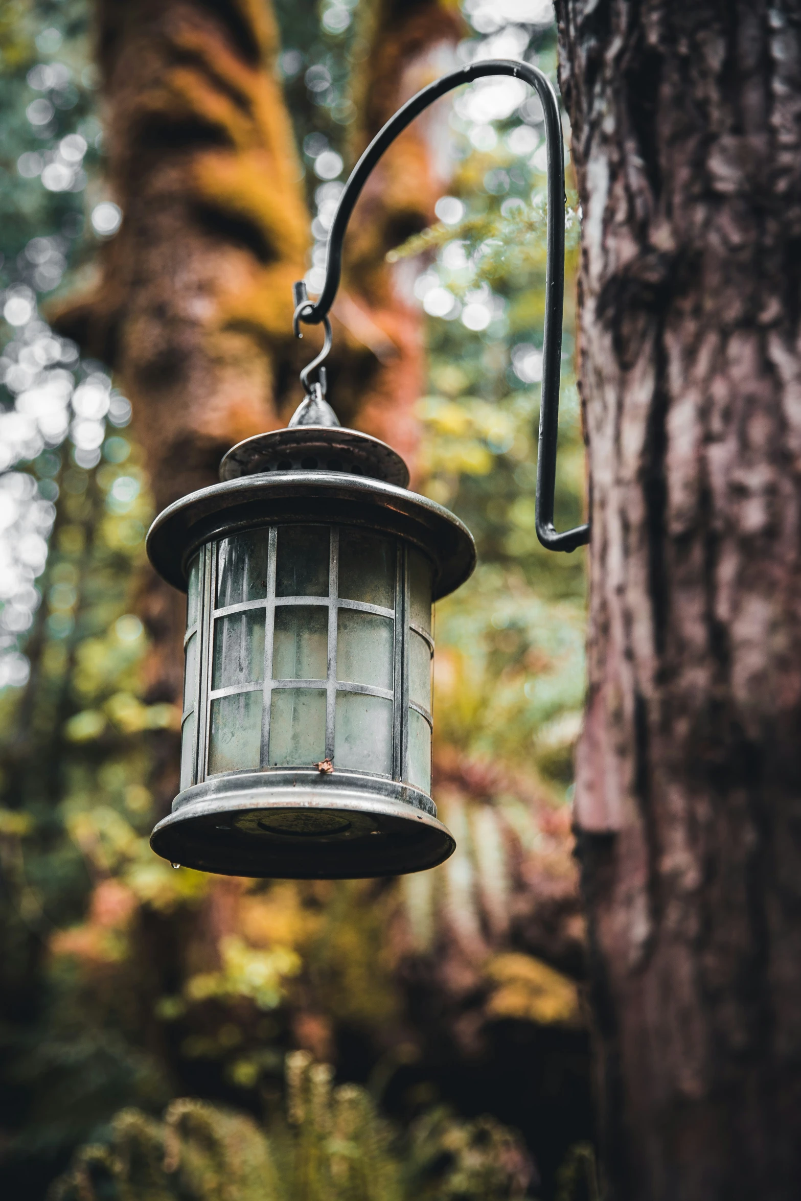 a white light hanging on the side of a tree