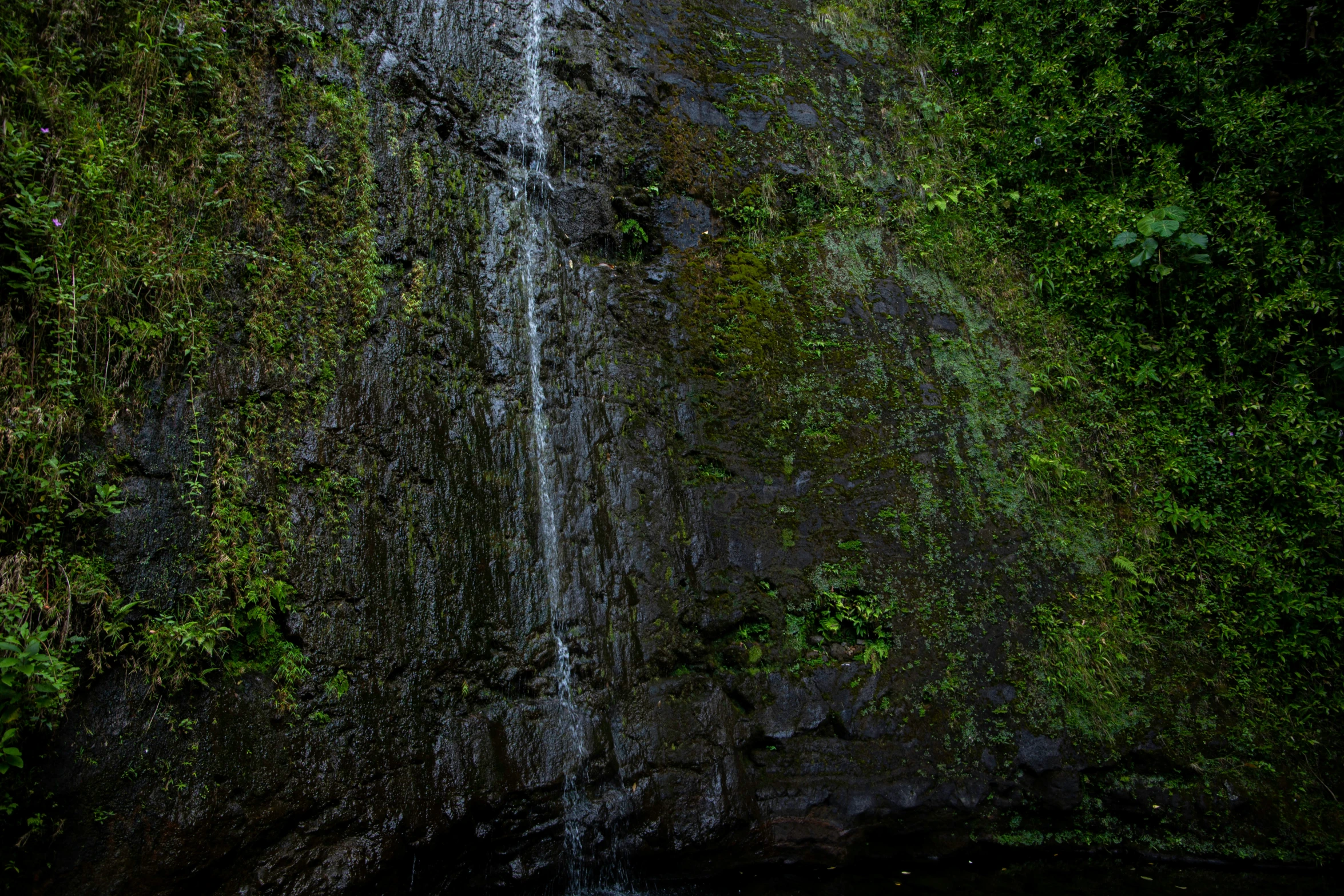 a group of people standing at the base of a waterfall