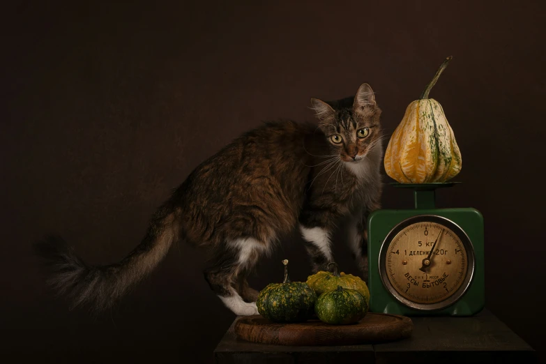 a cat sitting on a counter beside a clock and various vegetables