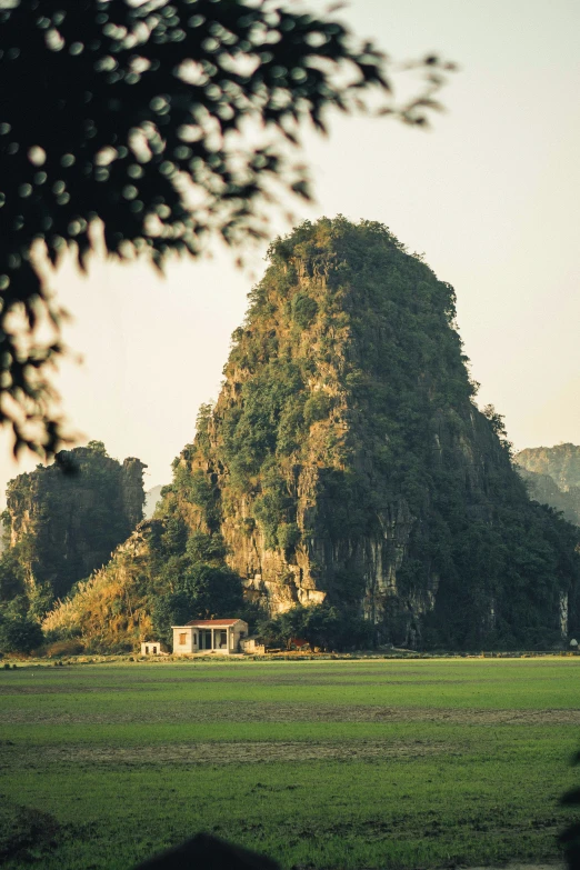 a large grassy field sitting in front of trees