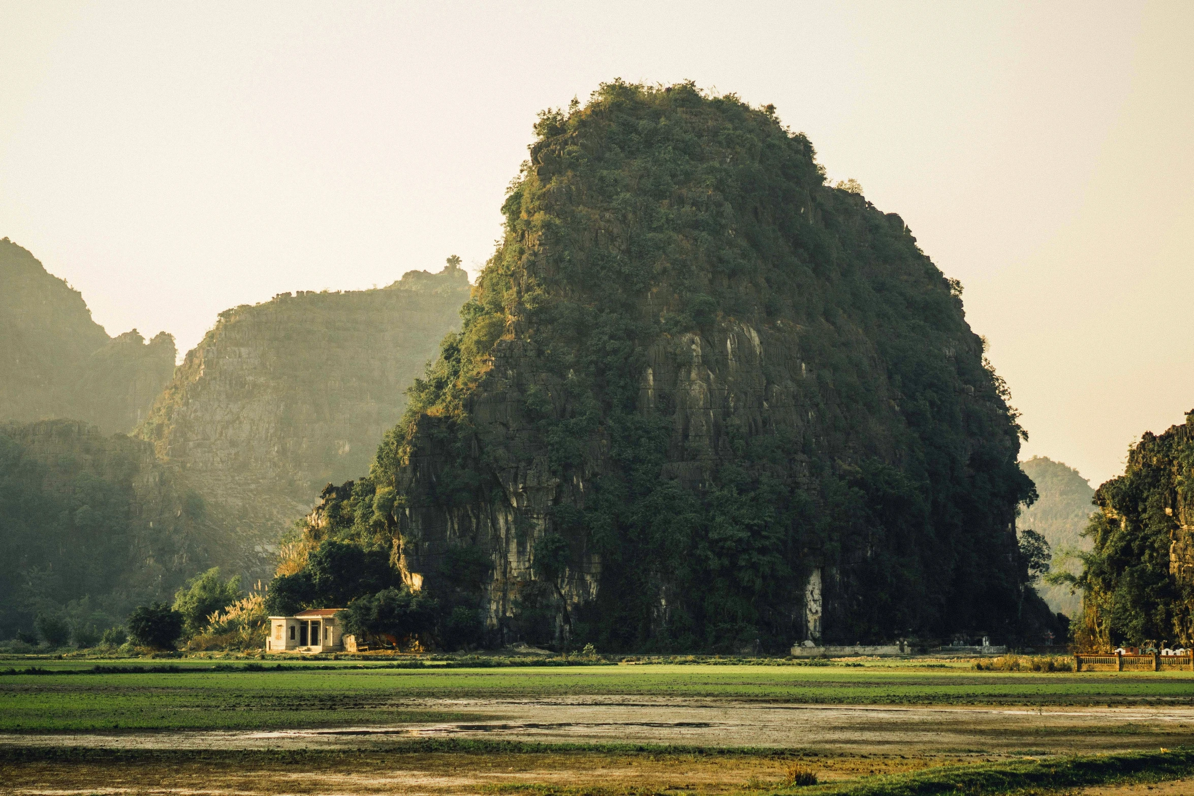 a view of a forested mountain in the middle of a field