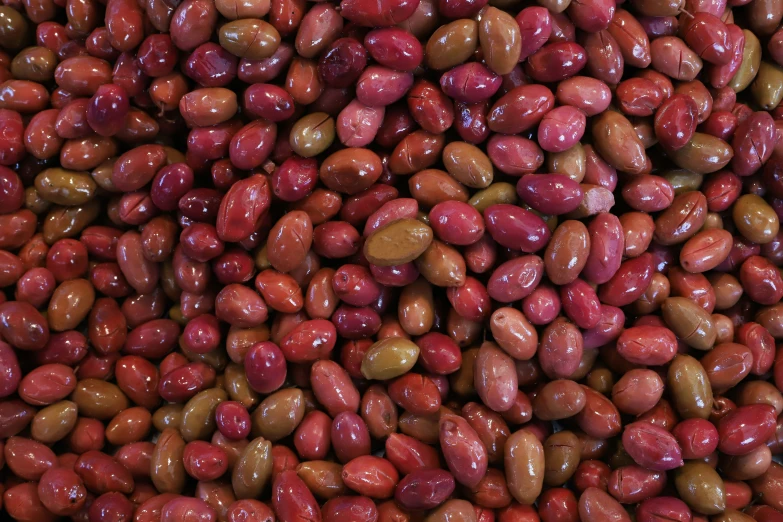 close up of beans that are full of brown and green color