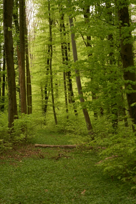 this is an image of an outdoor area