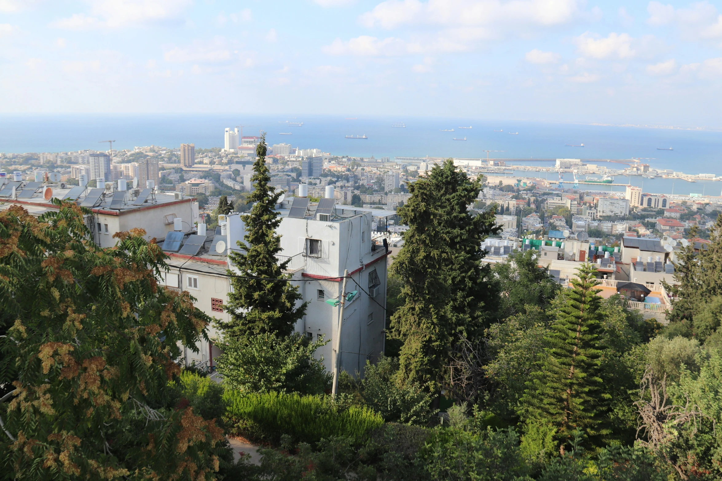 a city surrounded by trees, with a few buildings in the foreground