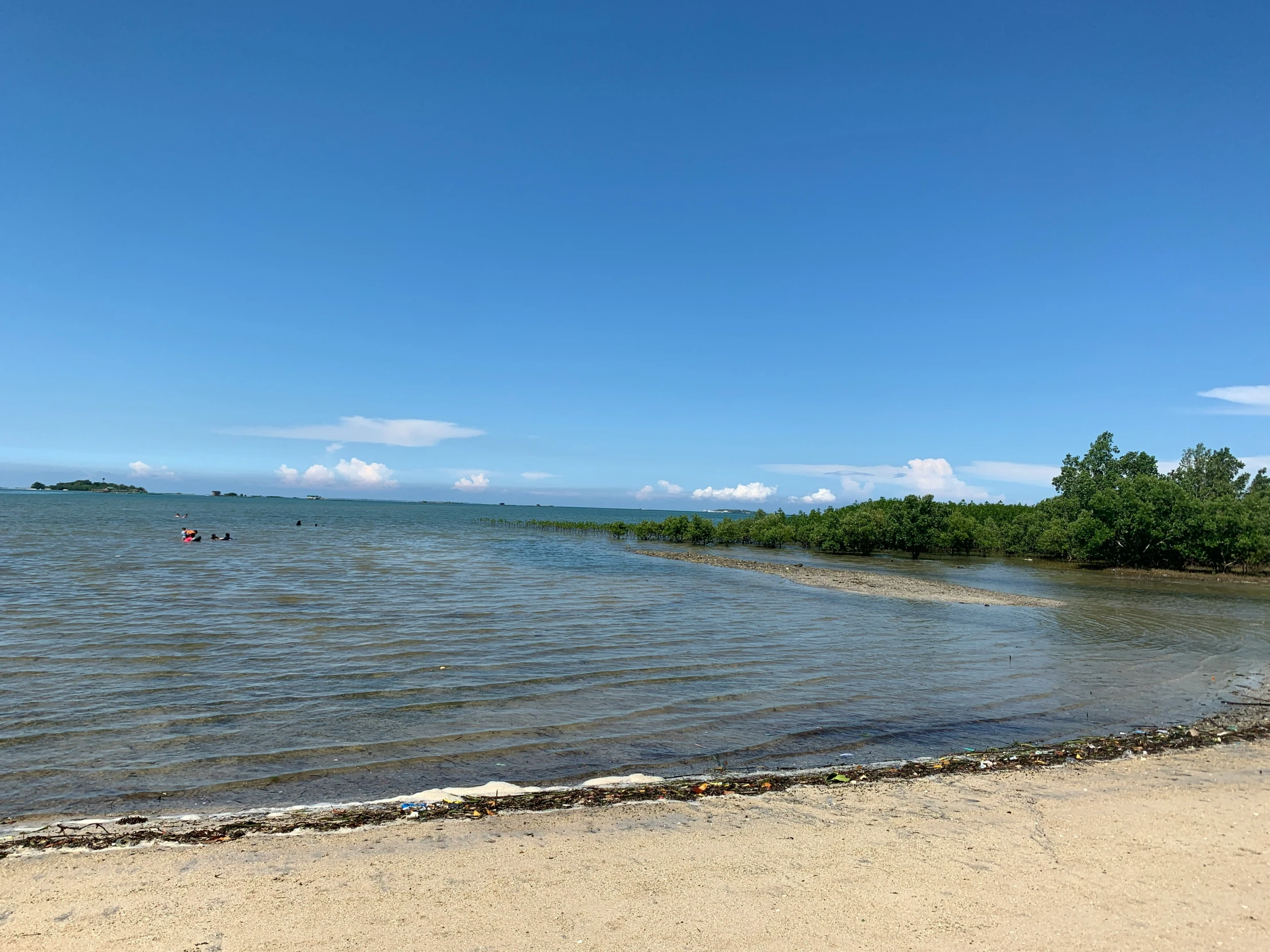 a beach area with the ocean on a sunny day