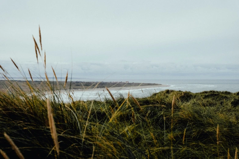 the sea and shore line in the distance are covered with green plants