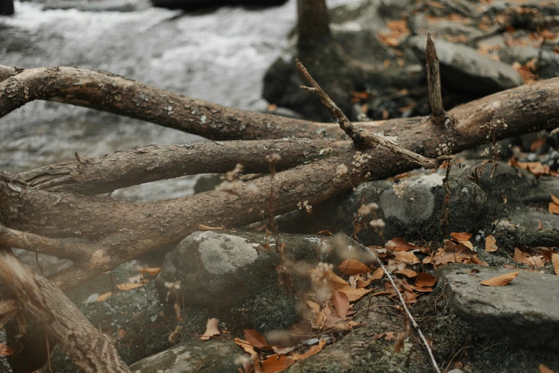 a fallen log sitting next to rocks and a stream