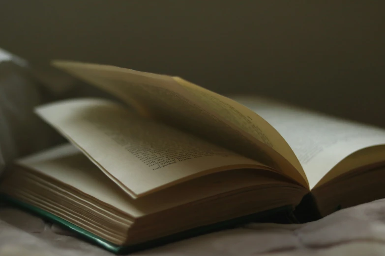 a book opened and sitting on a blanket