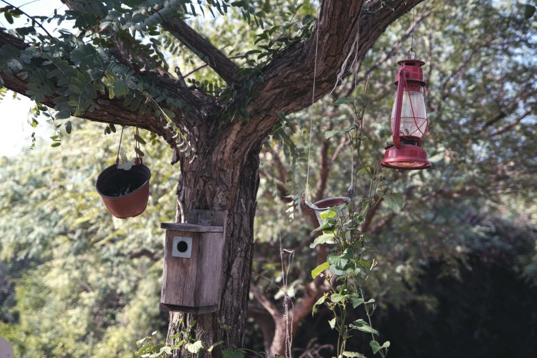 the birdhouses have bird houses hanging from them