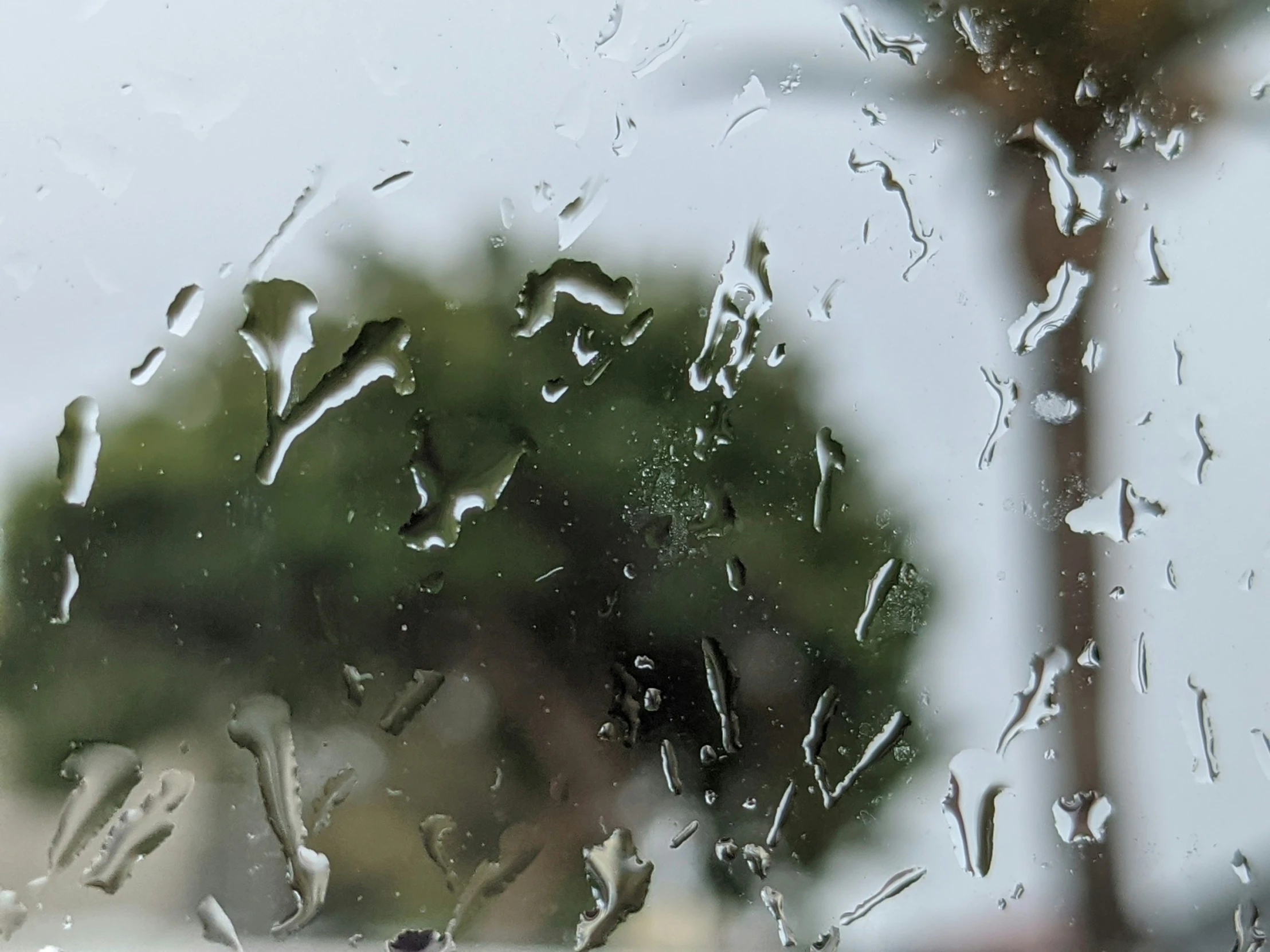 the rain is seen on the window outside