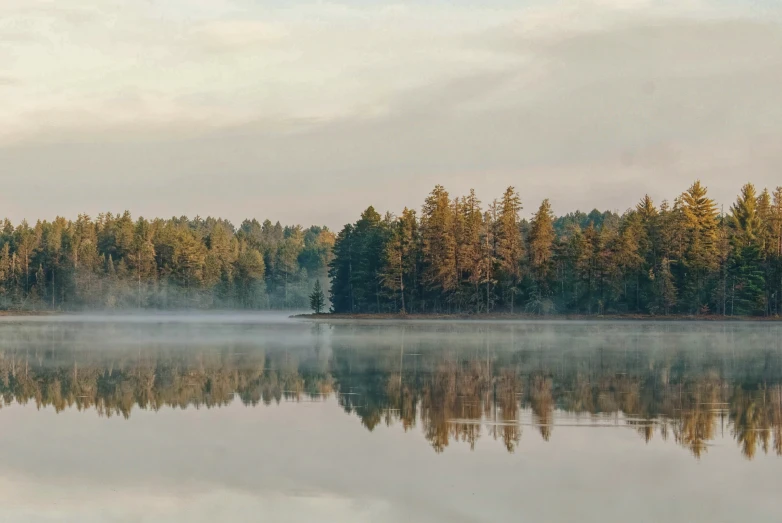 fog covers a lake near a forest during sunset