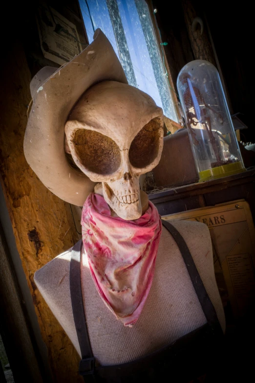 there is an old human skull wearing a scarf