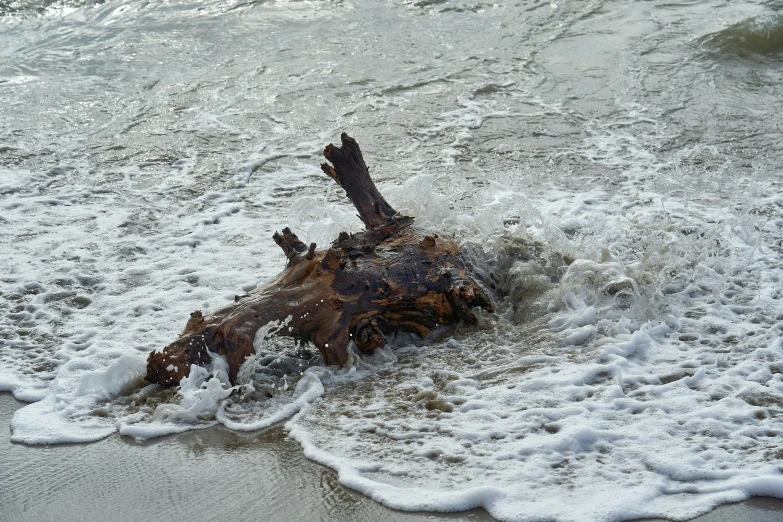 an old rusty, rusty object laying on the sand near the ocean