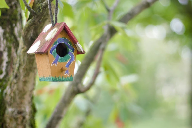 a birdhouse hanging in a tree with a hole in the tree