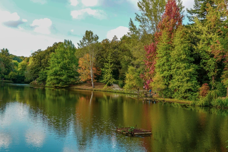 a body of water surrounded by lots of trees