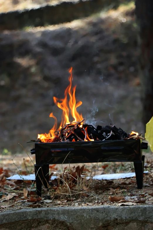 a fire in a park with leaves around it