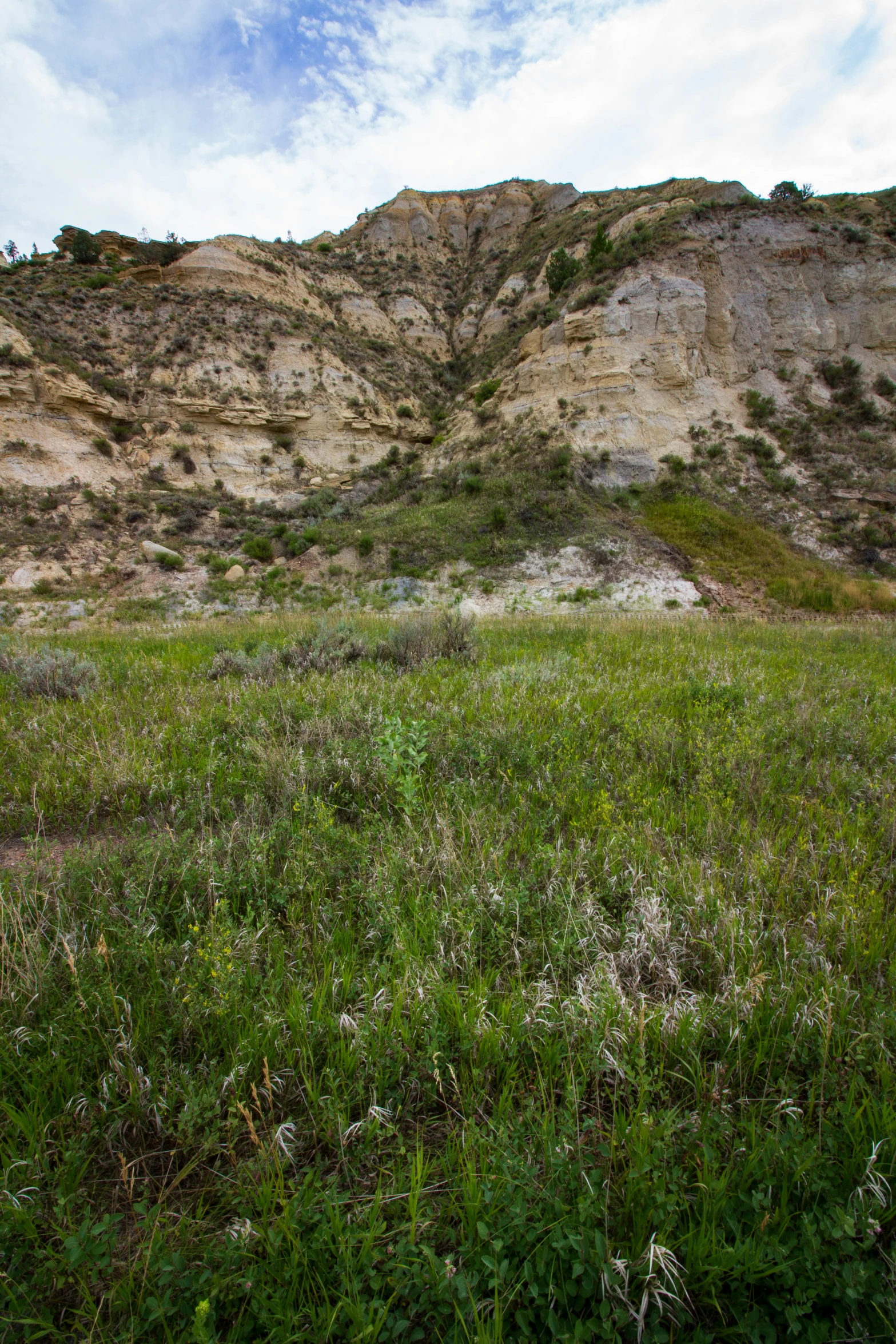 the hill and a field are covered with grass