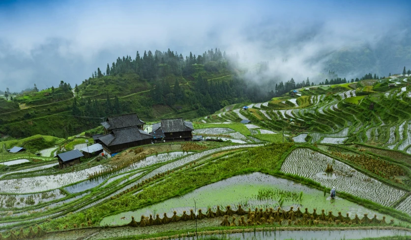 a scenic rice pad house sits amidst a valley of rice terraces