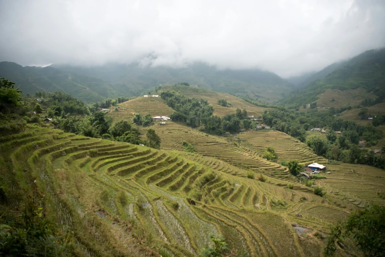 there are many rice terraces in the countryside