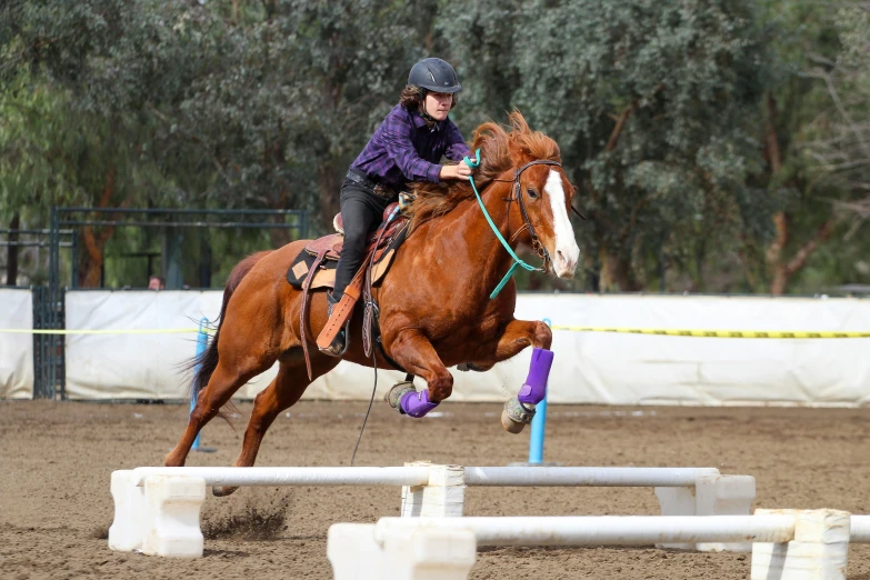 a woman on a horse doing an animal show