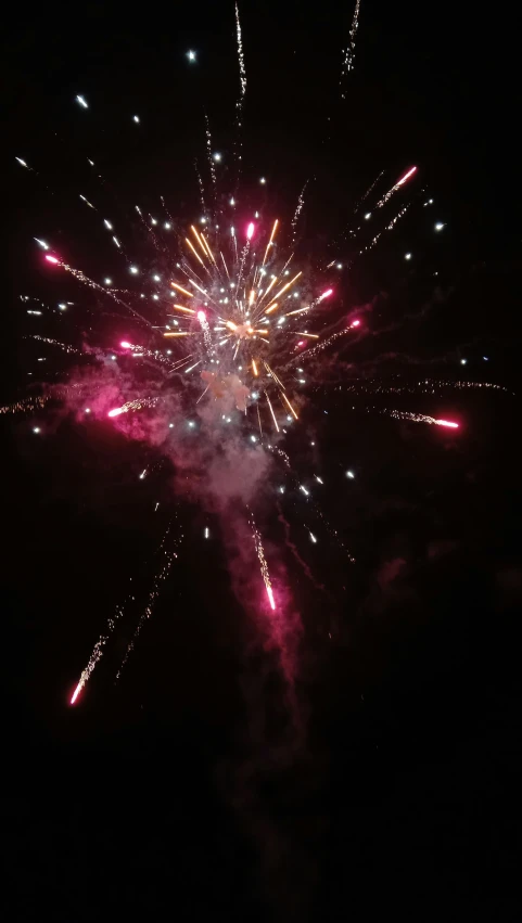 a black and white po shows multiple firework
