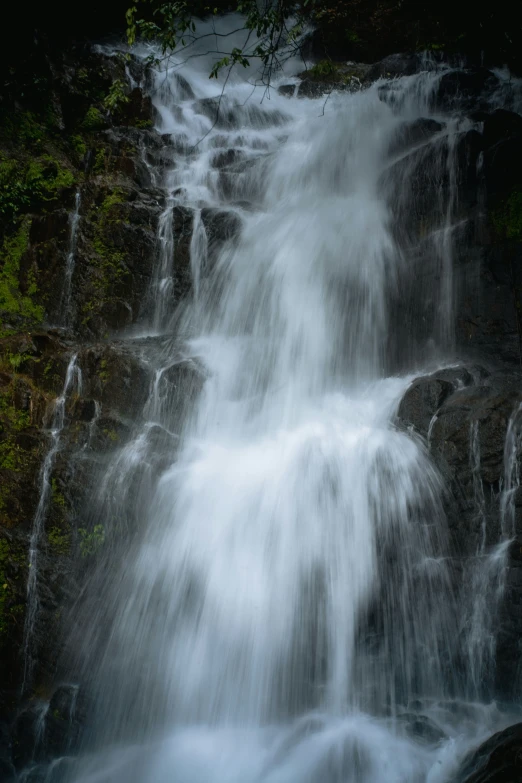 a waterfall with many green bushes around it