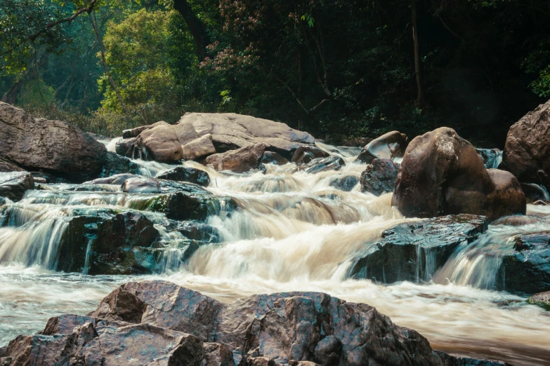 a river filled with lots of rocks next to a forest