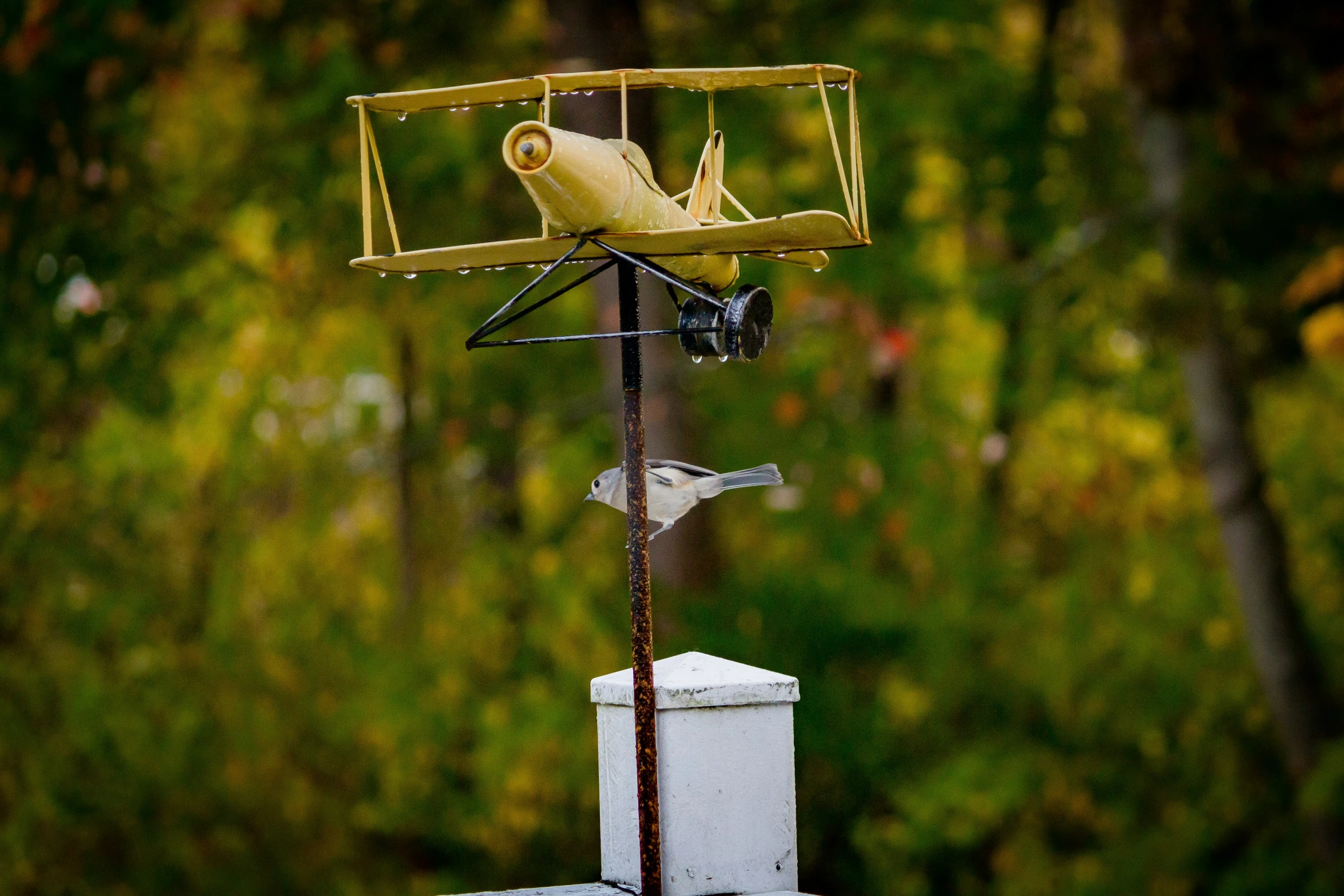 the small weather vane on top of the weather vein