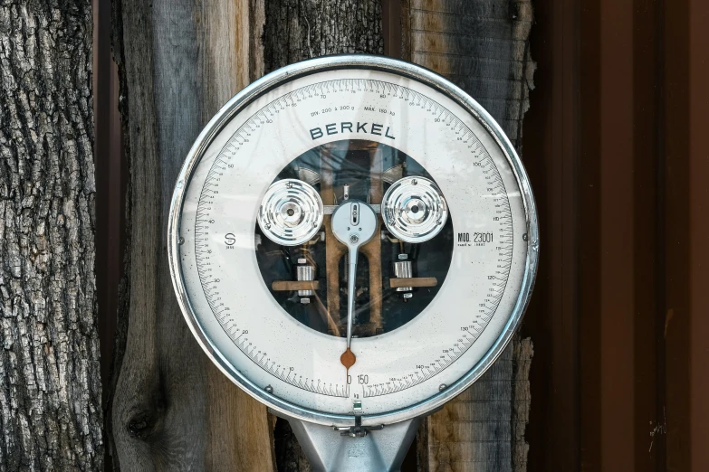 a meter with different parts on it is placed by a tree