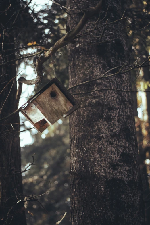 a bird house hanging from the side of a tree