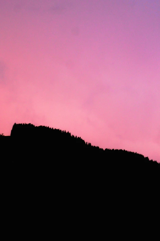 the silhouette of trees on a hill against a dusk sky