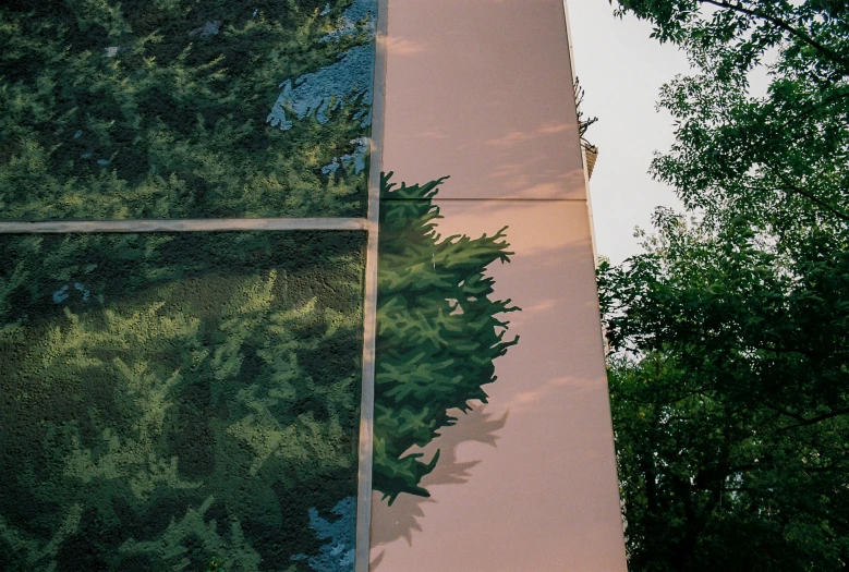 an outdoor pograph of a path with trees in it