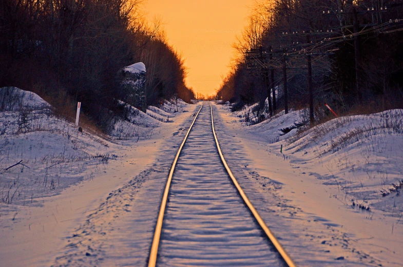 train tracks leading to the sun between snowy forest