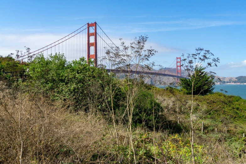 an image of a hill with a bridge in the background