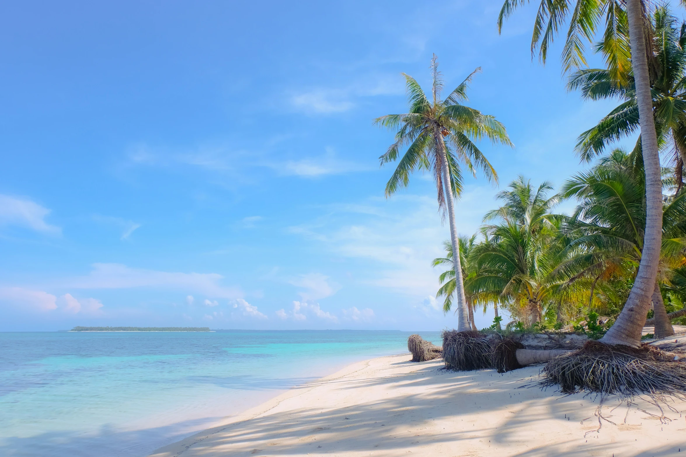 the white beach is clean and empty with a few trees