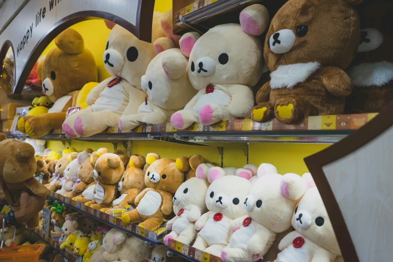 a row of teddy bears is shown at the store