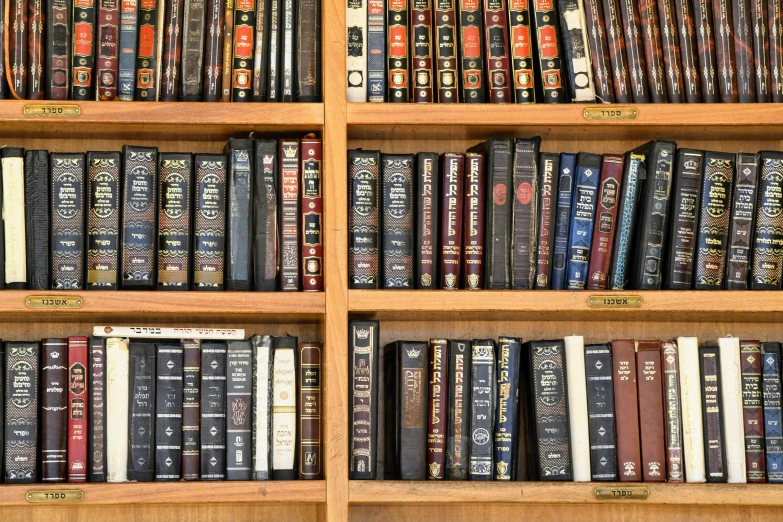 a shelf that is filled with books and some other things