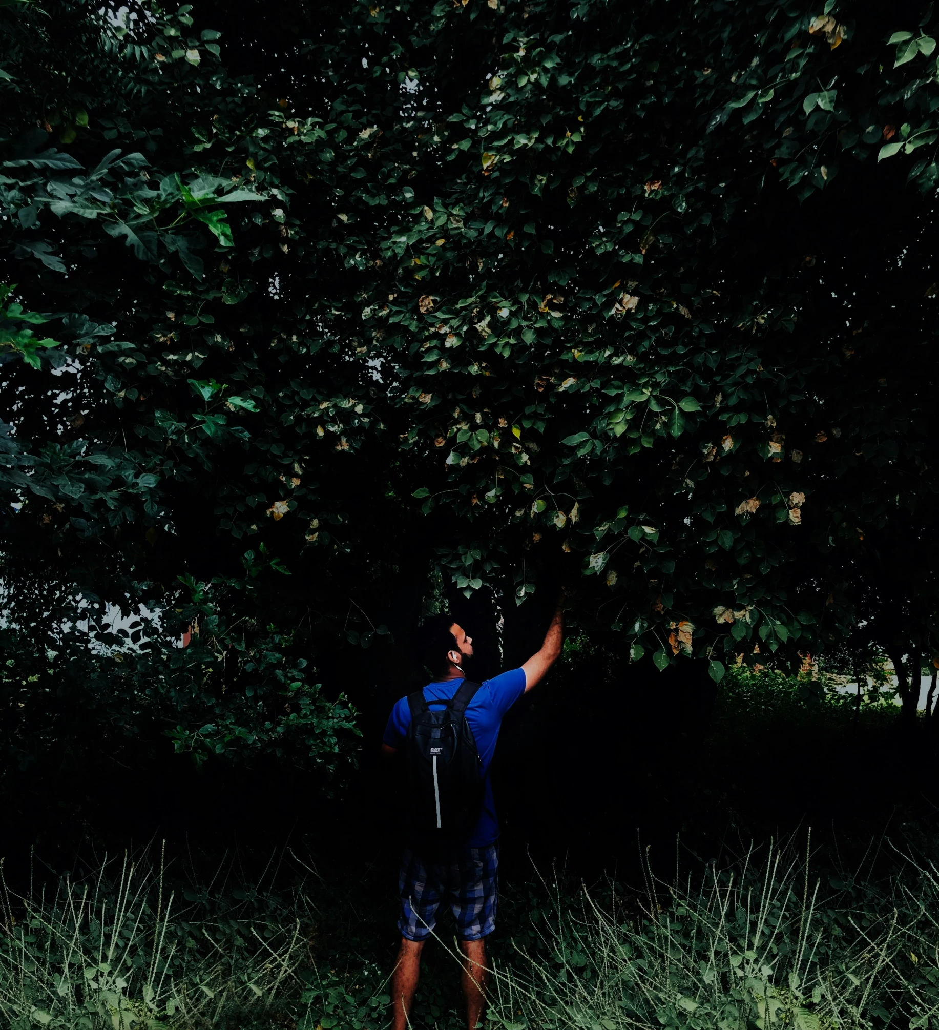 man standing in an open grassy field near trees