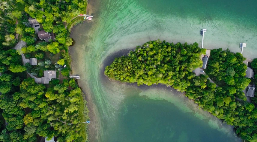 the aerial view of the water and green trees