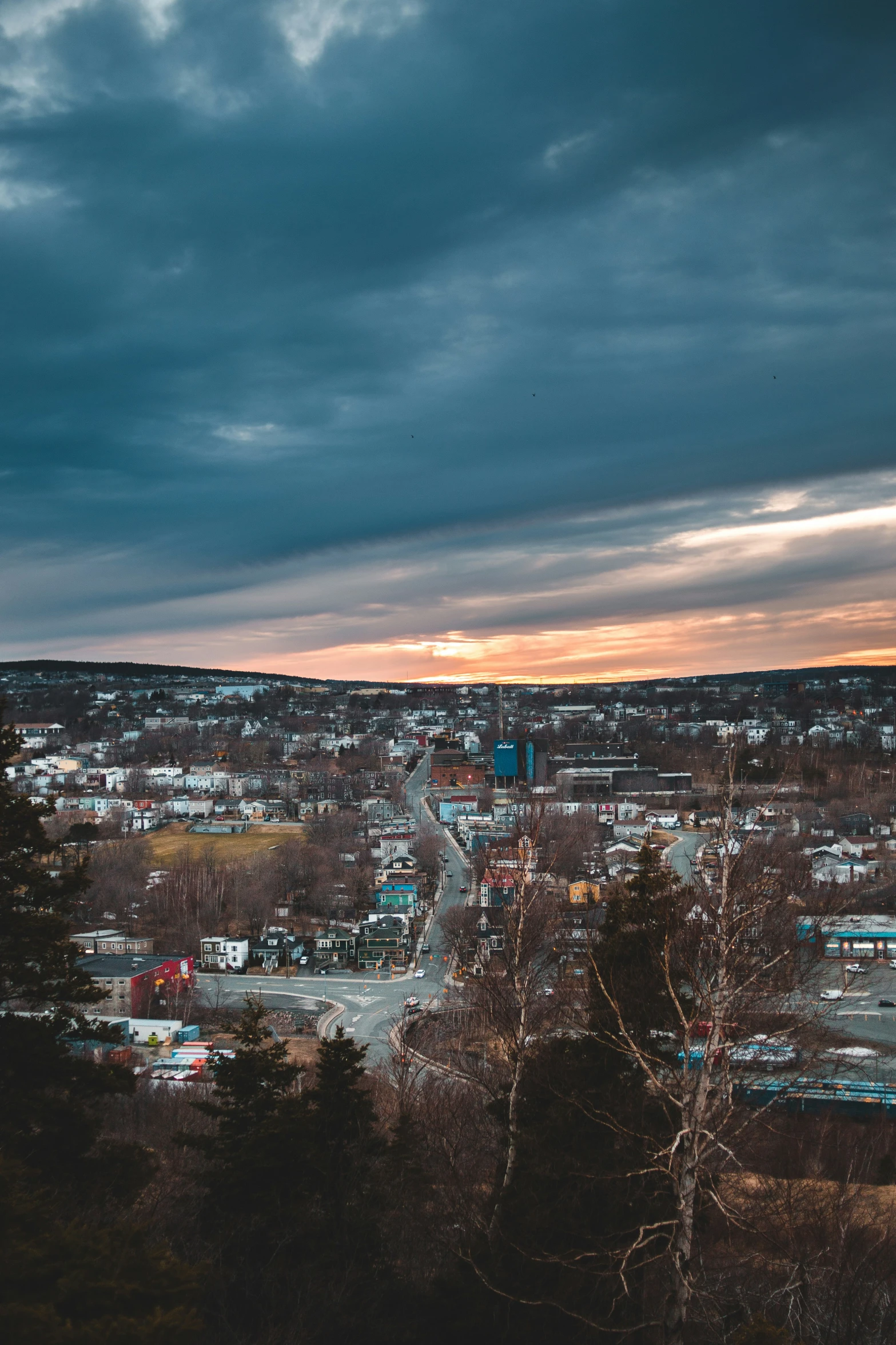 looking out over a large city from the top of a mountain