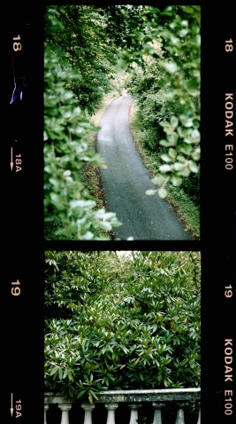 two pos of a road surrounded by bushes and trees