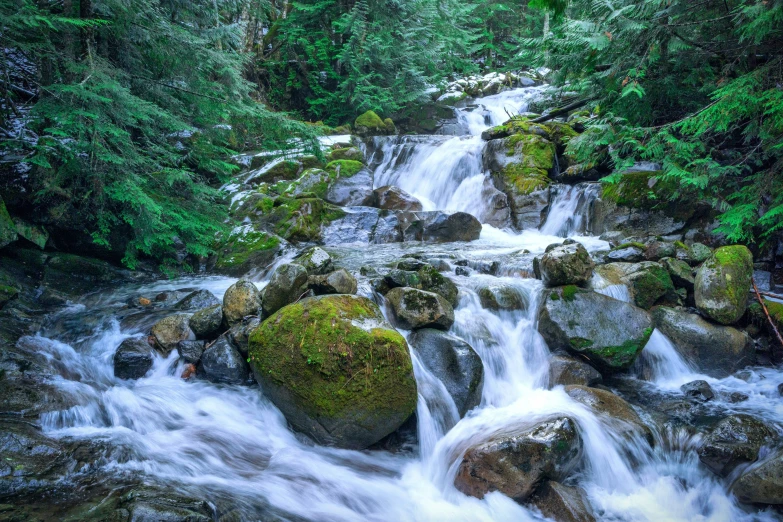 a stream that has lots of rocks on it