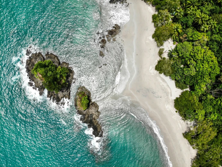 aerial view of tropical trees, water, beach and shoreline