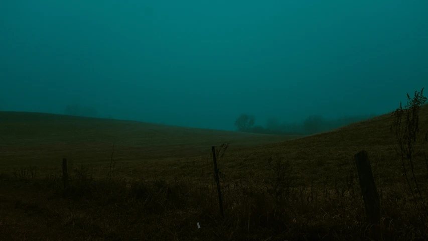 a bird in the distance flying by on a foggy day