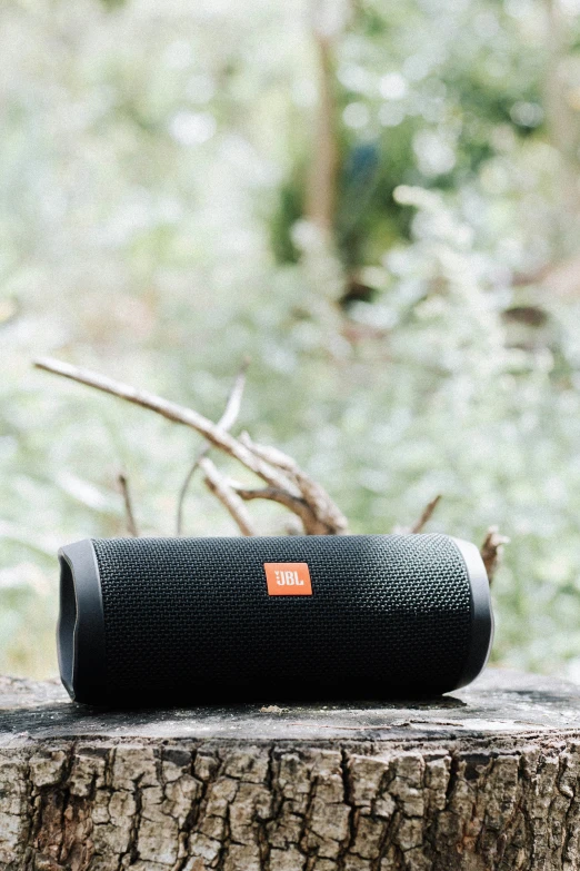 an image of a black bluetooth speaker on tree trunk