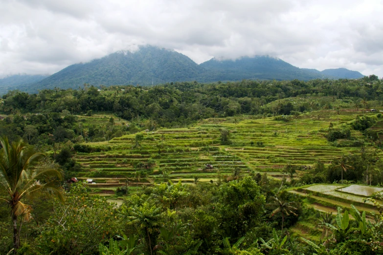 a green valley with mountains in the background