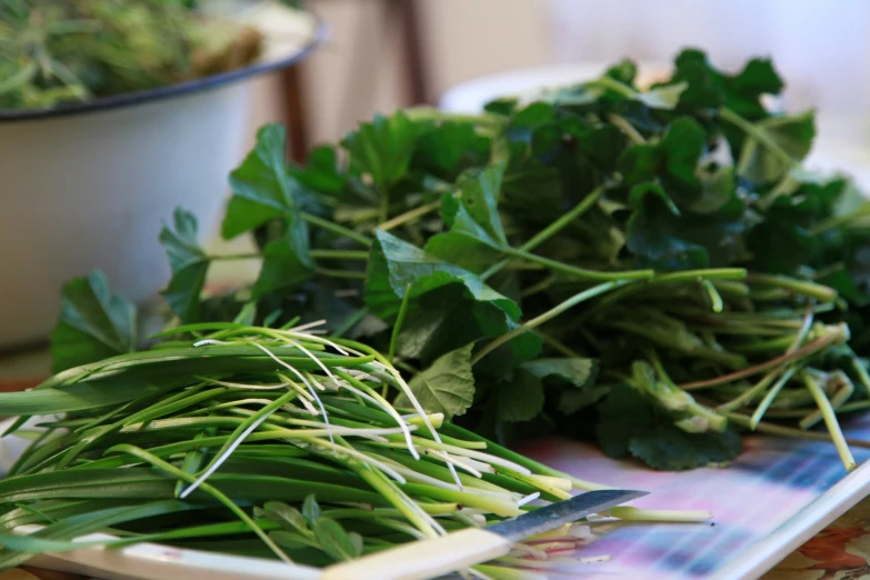 close up view of freshly cut herbs on a plate