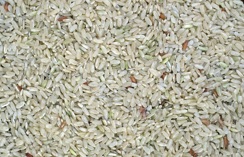 an image of rice texture background